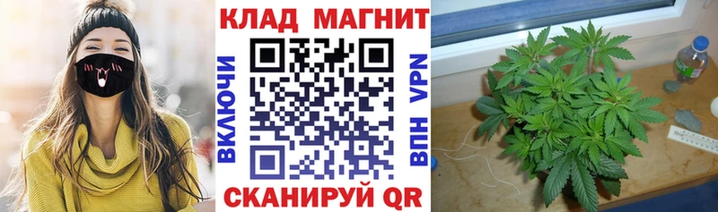 Купить закладку Марихуана  Кокаин  ГАШИШ  МЕФ  Светлоград