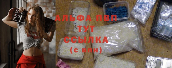 ГАЛЛЮЦИНОГЕННЫЕ ГРИБЫ Кукмор