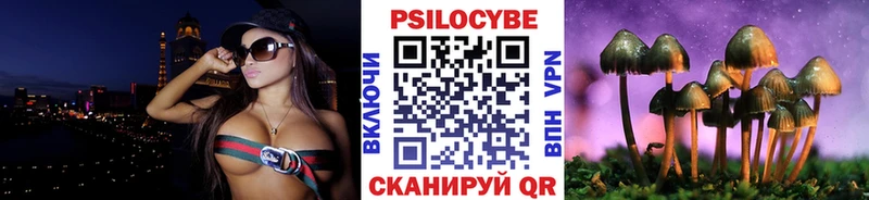Купить где  Светлоград  Псилоцибиновые грибы Psilocybine cubensis 