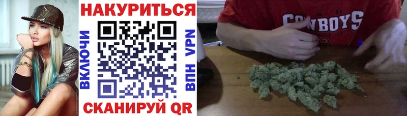 Марихуана OG Kush  Купить  Светлоград 